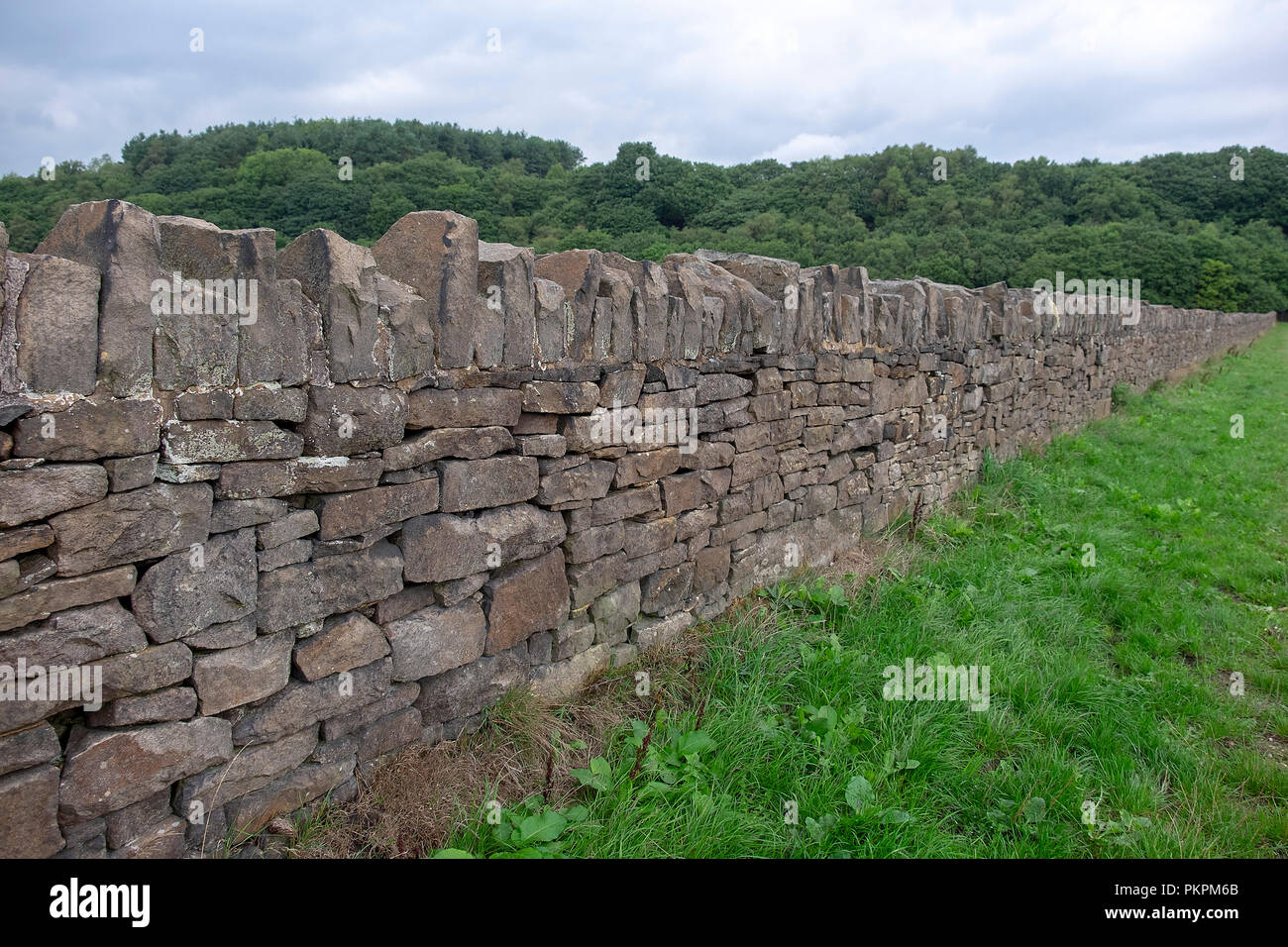 Traditional Drystone Wall Lancashire Stock Photo