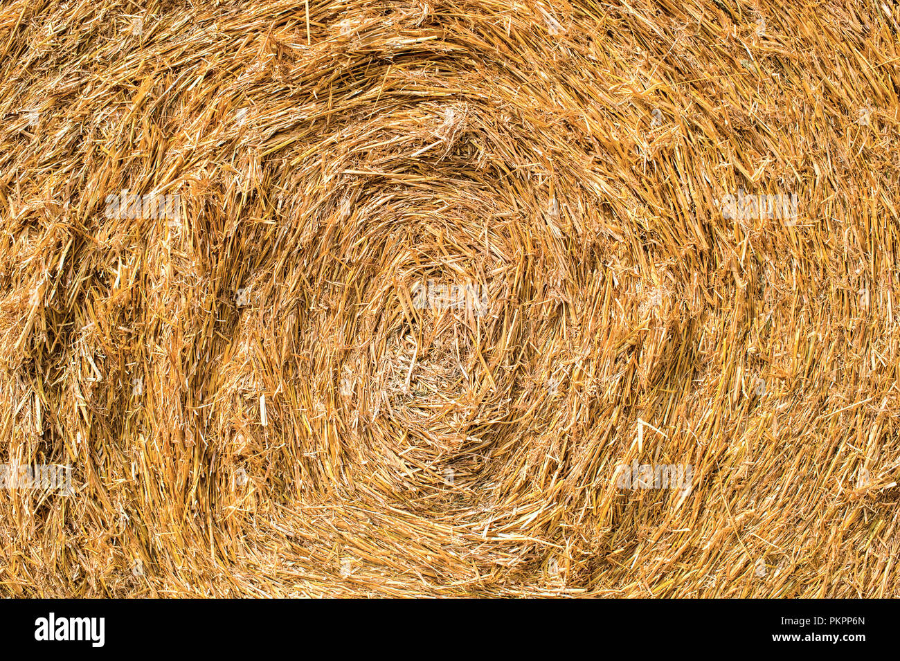 texture of mown hay Stock Photo - Alamy