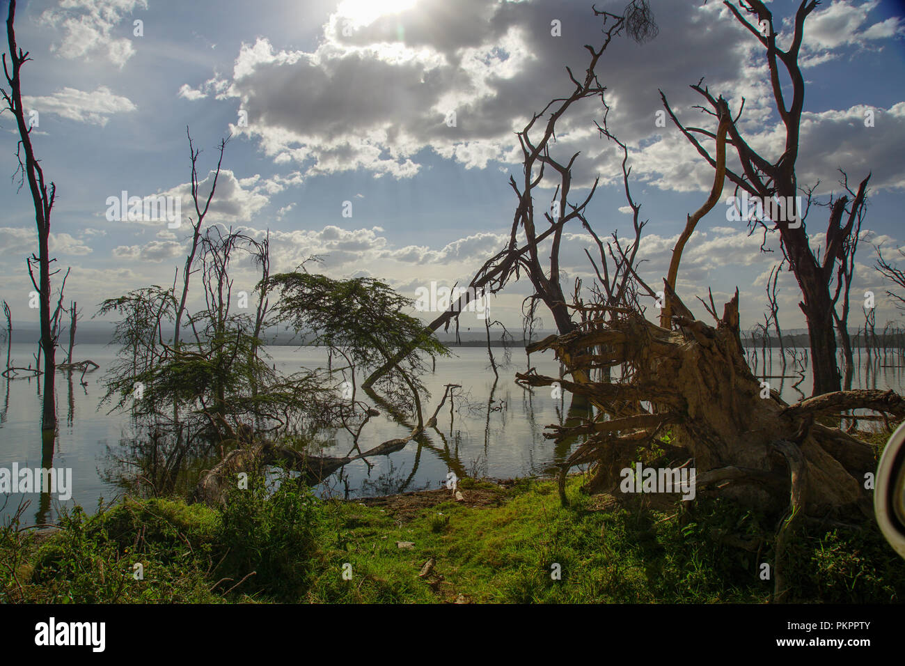 O Que E Rift Valley Rift valley cliff green hi-res stock photography and images - Alamy