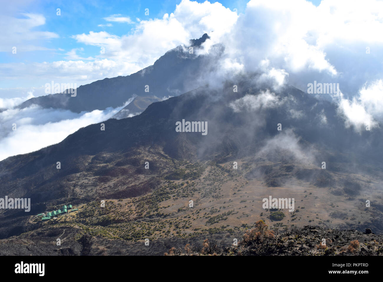 Mount Meru seen from Little Meru, Arusha National Park, Tanzania Stock ...