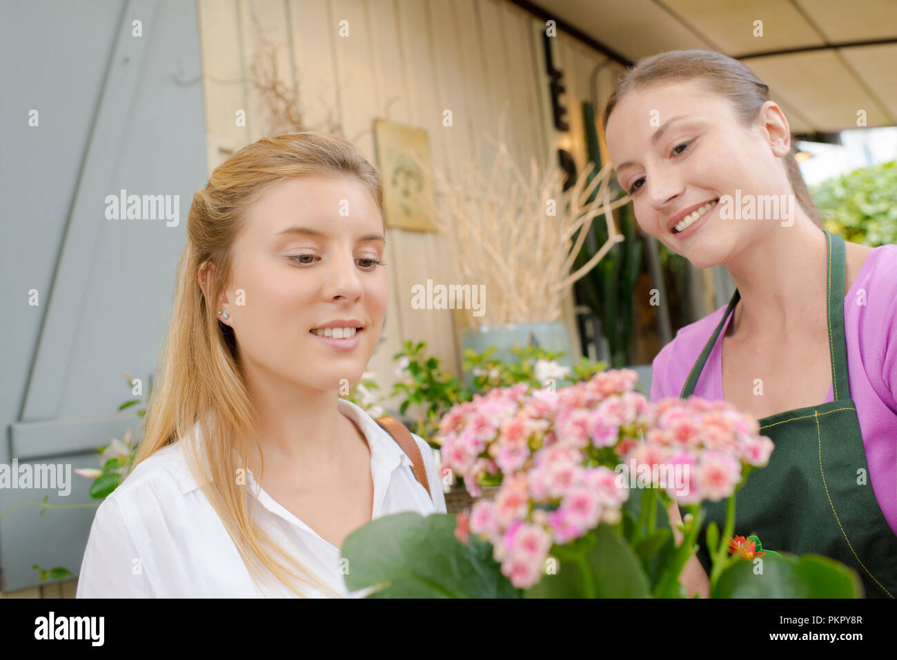 florist with customer Stock Photo Alamy