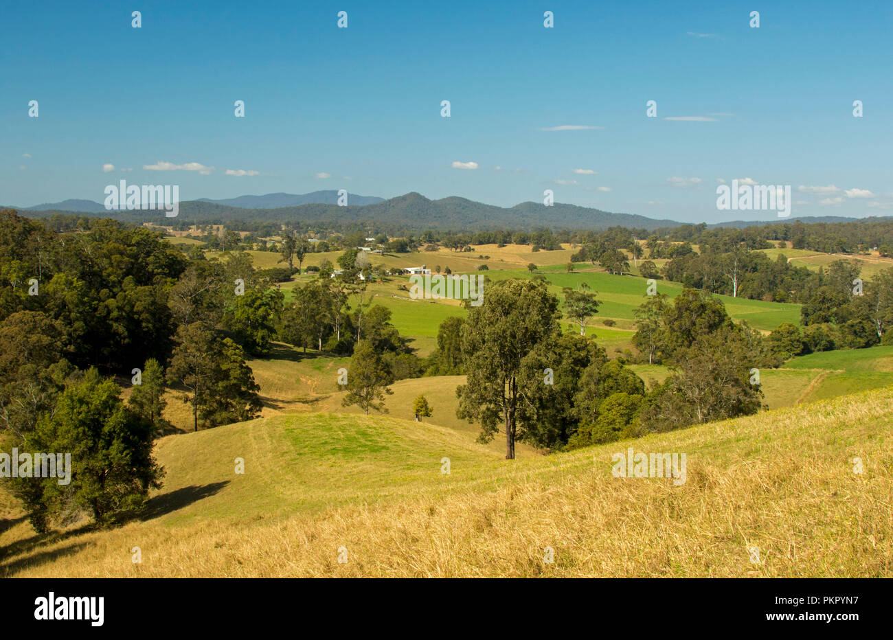 Australian landscape of rolling green hills & valleys dotted with remnants of forests with peaks of Great Dividing Range rising into blue sky in NSW Stock Photo