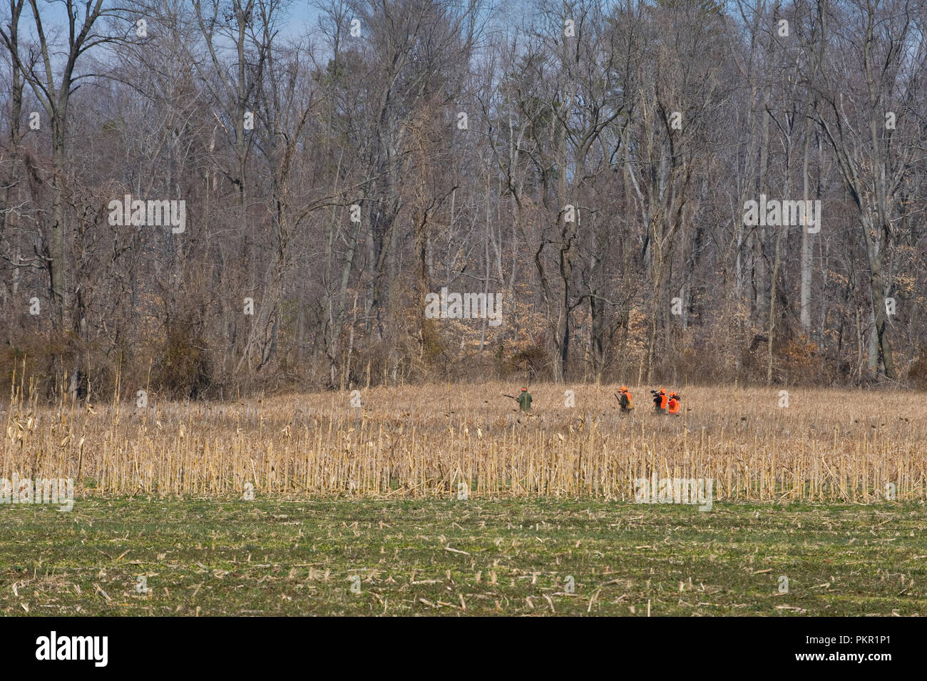 Pintail Point at the River Plantation, on Maryland's Eastern Shore is a