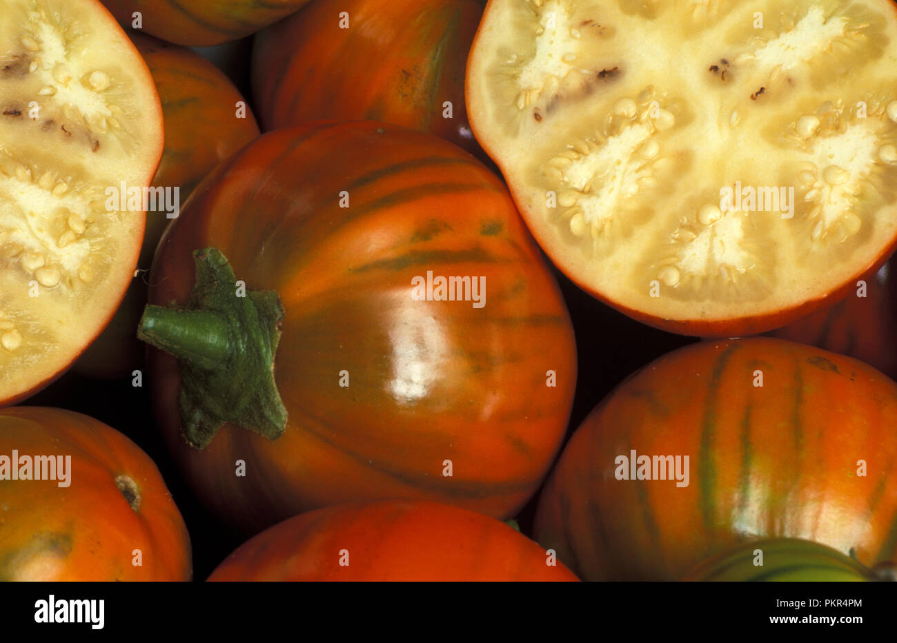 Solanum gilo, Scarlet eggplant, for sale, Stock Video