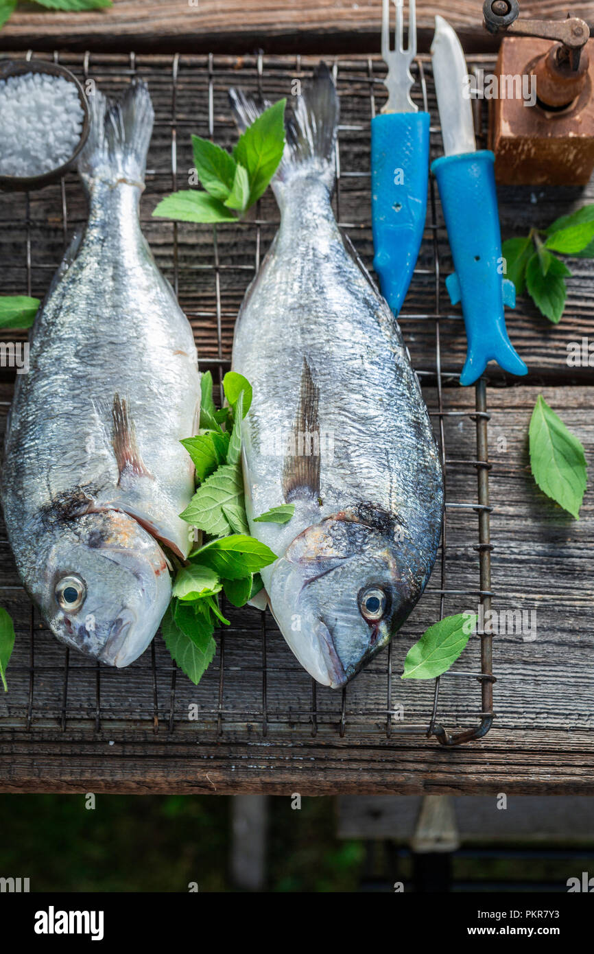 Freshly caught fish spices hi-res stock photography and images - Alamy