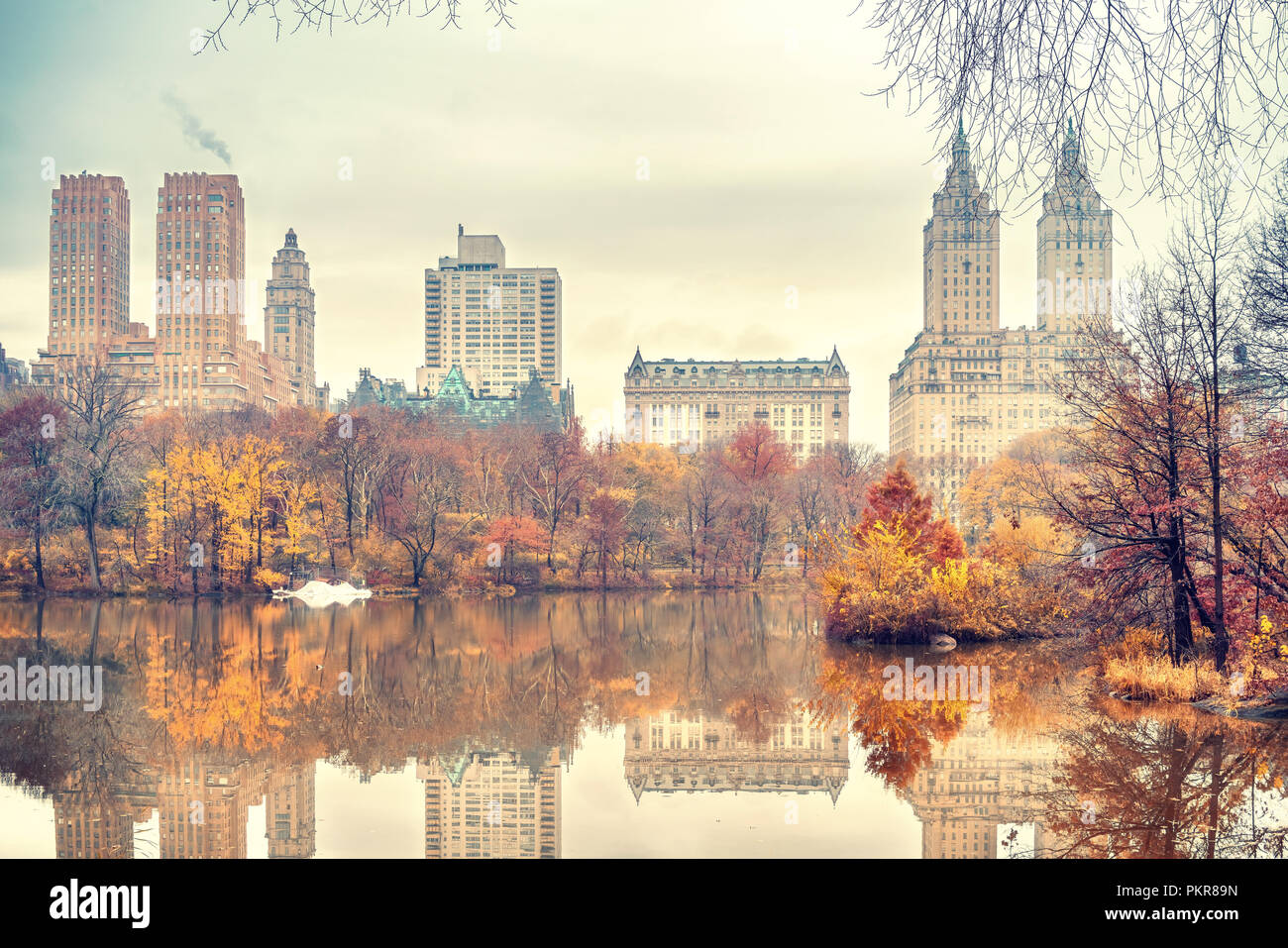 Central park at autumn morning Stock Photo - Alamy