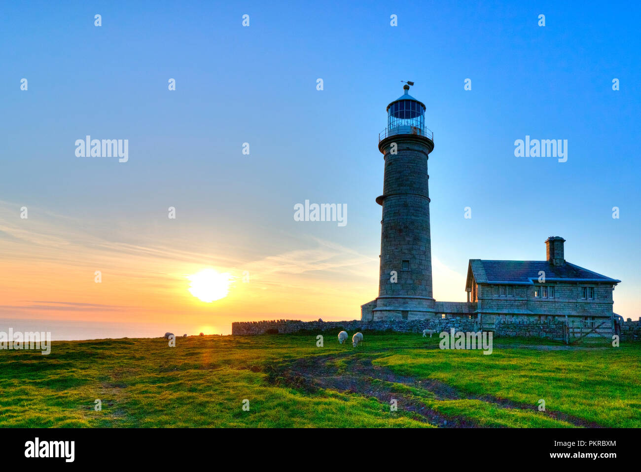 Sheep graze contentedly as the sun sets behind Old Light lighthouse on Lundy Island Stock Photo