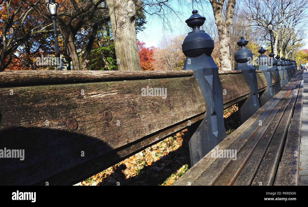 Central Park, New York. Benches and Trees Stock Photo Alamy