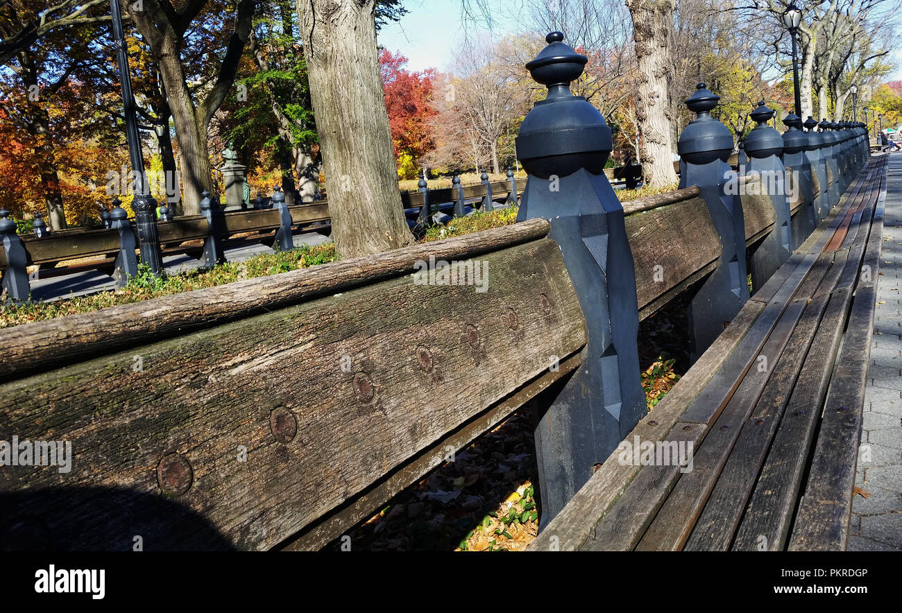 Central Park, New York. Benches and Trees Stock Photo Alamy