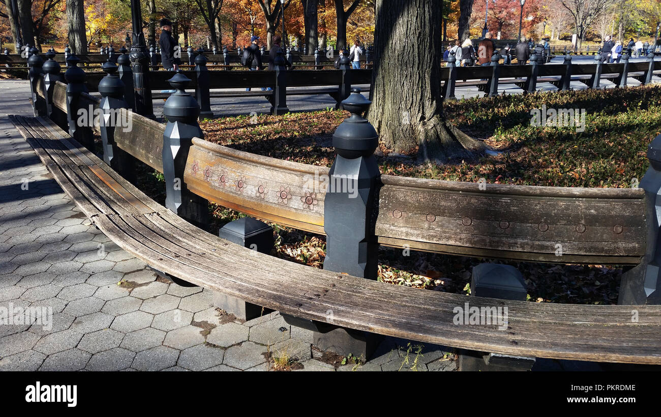 Central Park, New York. Benches and Trees Stock Photo Alamy