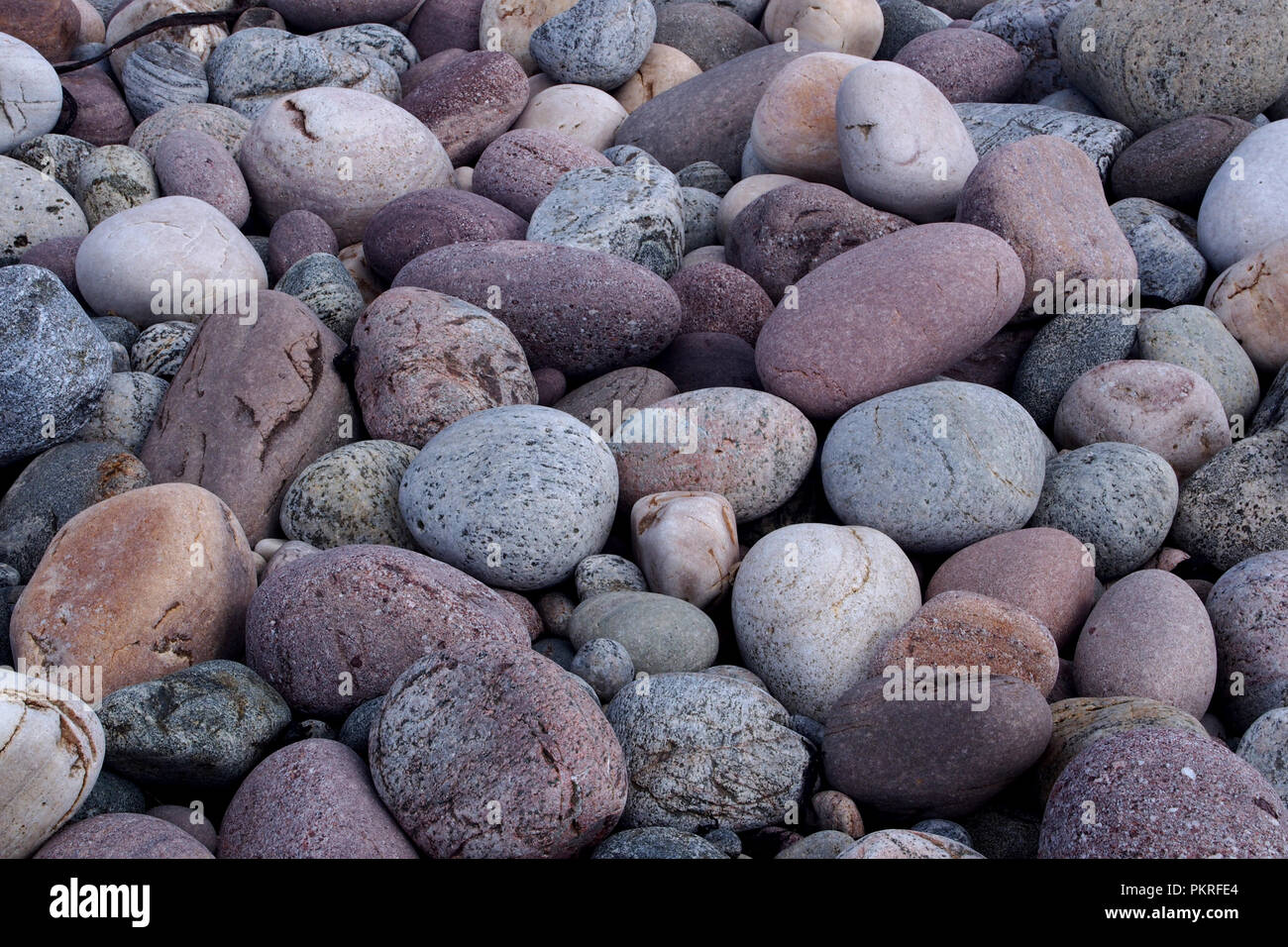 A close up view of large colourful, patterned stones on a beach in the north west of Scotland Stock Photo