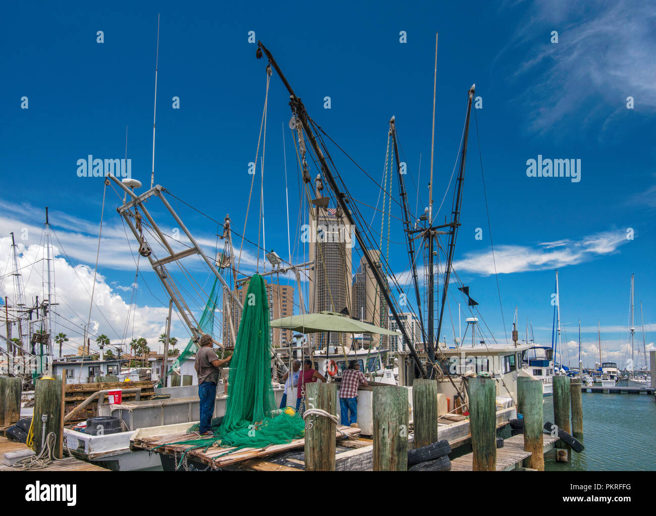 Shrimp boats at Corpus Christi Marina, Downtown towers in distance
