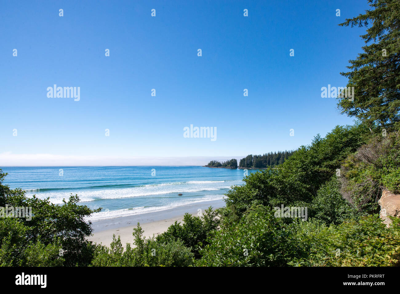 A gorgeous summer morning on the beach of Florence Bay , in the  Pacific Rim NP,  in the vicinity of Tofino,Vancouver Island, Canada Stock Photo