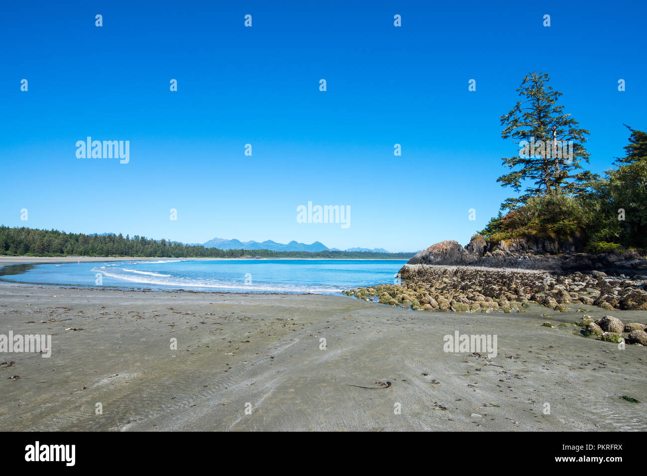 A fine and quiet  morning at Schooner Cove, Tofino, Vancouver Island Stock Photo