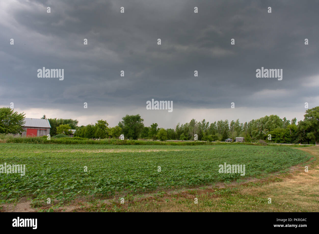 A storm rolls in over a Canadian farmland Stock Photo