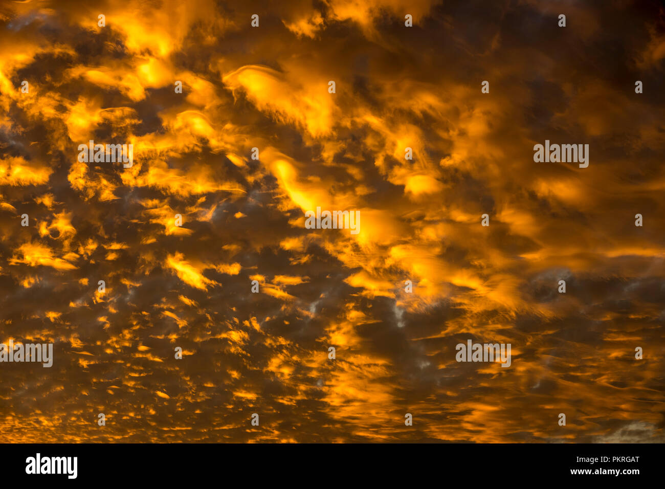Altocumulus clouds at sunset, Talbot Bay, Western Australia Stock Photo ...