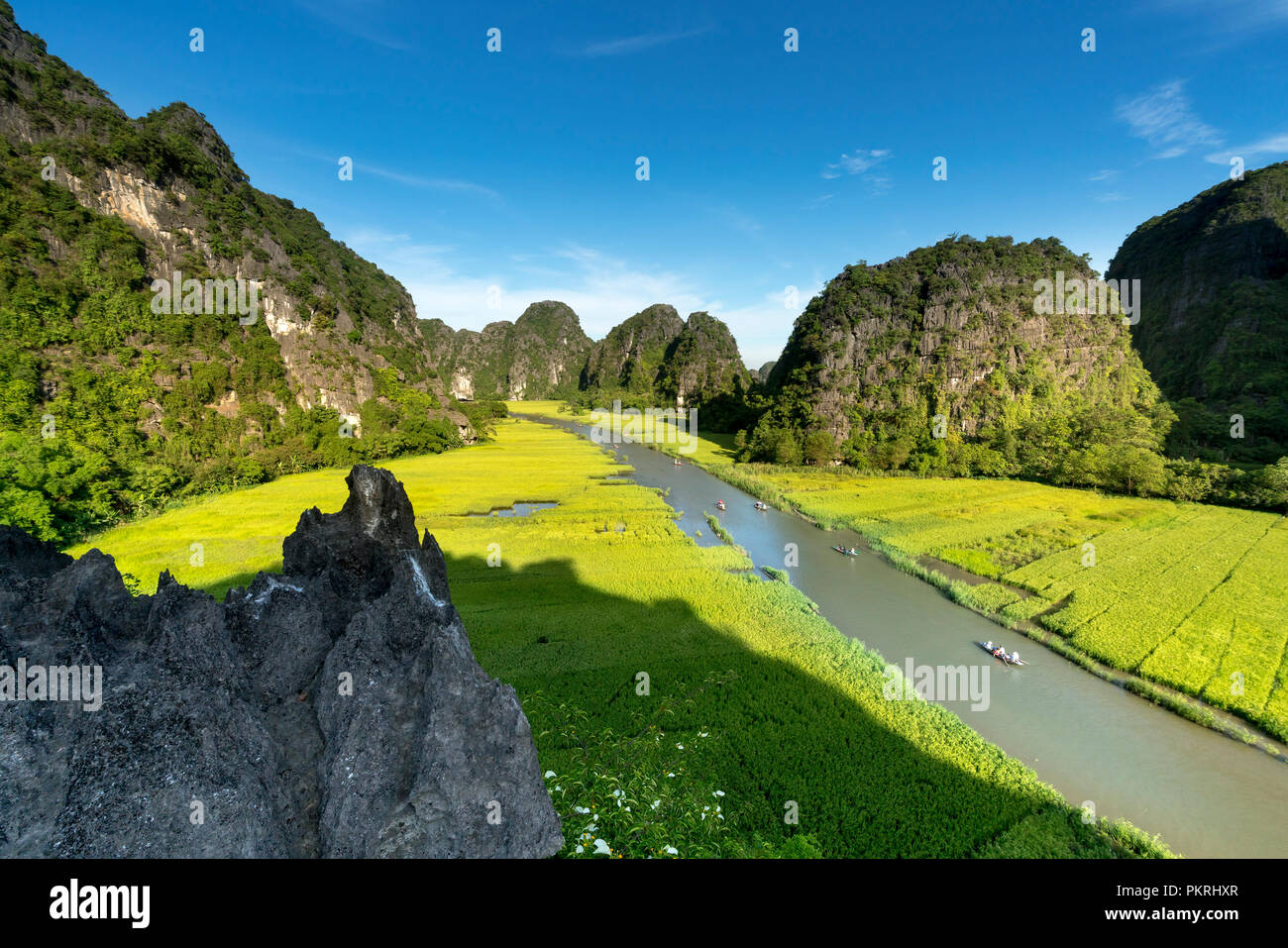 Majestic View Of Tam Coc Valley With Ngo Dong River Flowing Amid Rice  Paddies In Ninh Binh Vietnam High-Res Stock Photo - Getty Images
