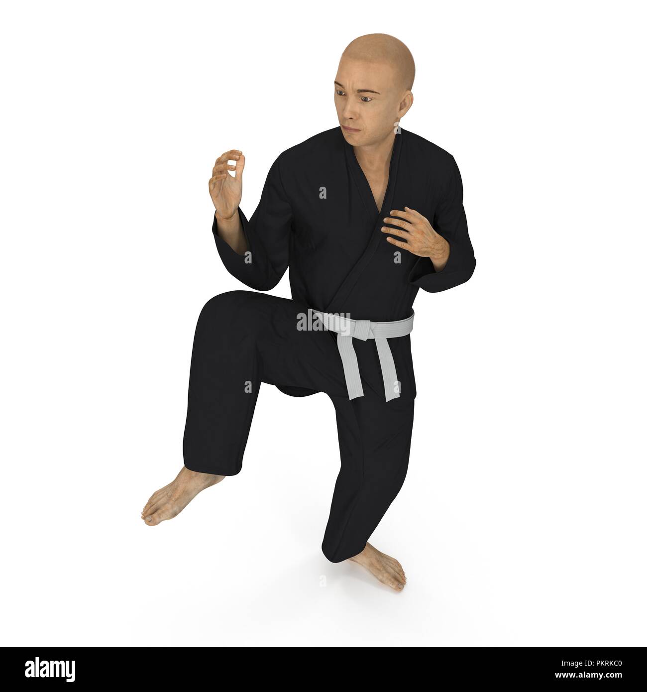 Black Karate Fighter fighting pose Isolated on white. 3D illustration