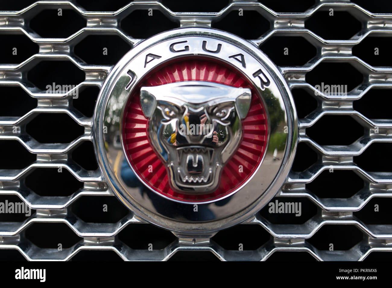 Jaguar car badge sign logo Stock Photo - Alamy