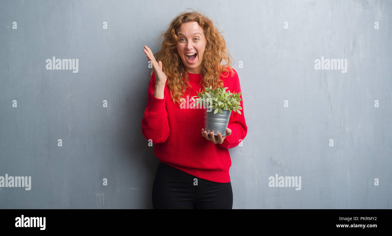 Young redhead woman over grey grunge wall holding plant pot very happy and excited, winner expression celebrating victory screaming with big smile and Stock Photo
