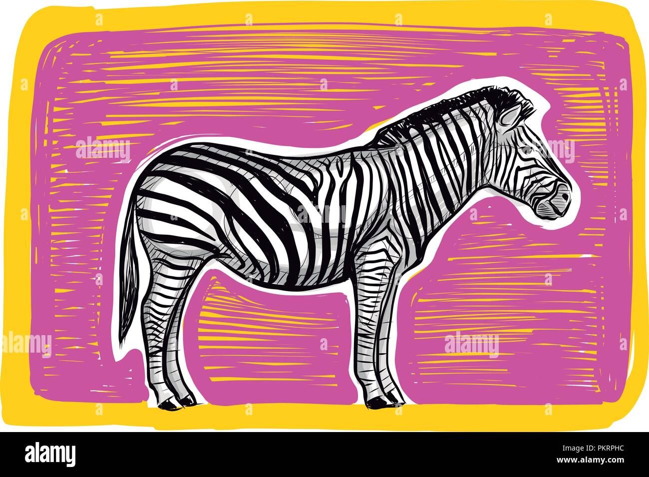 Hand drawn vector digital illustration or drawing of a zebra and pink ...