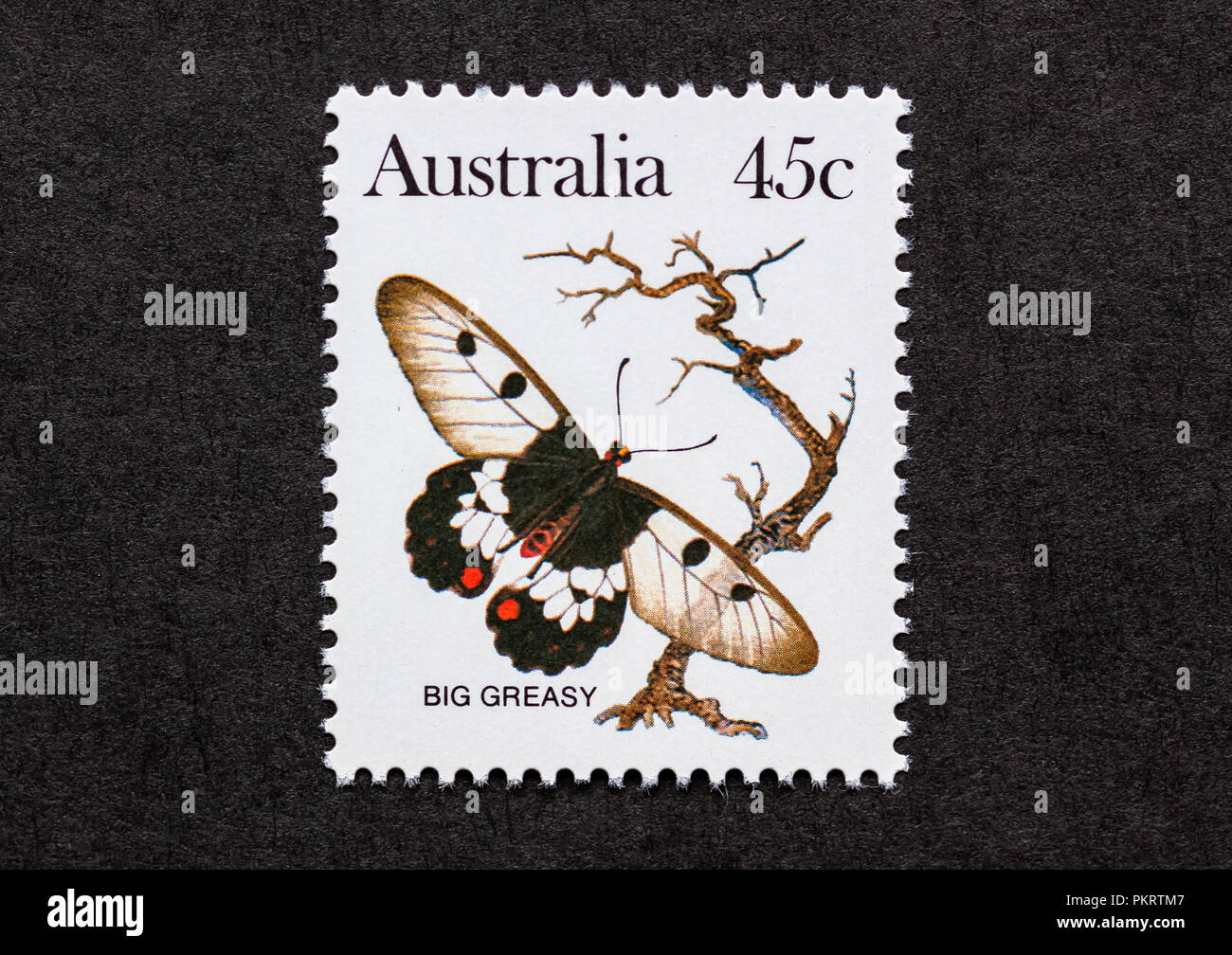 Butterfly stamp insect hi-res stock photography and images - Alamy