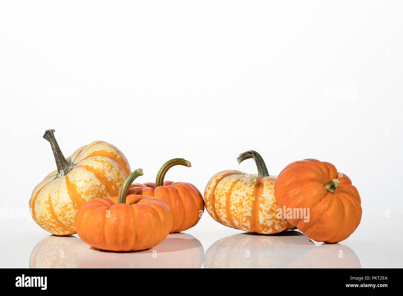 Halloween pumpkins on a isolated white background Stock Photo - Alamy