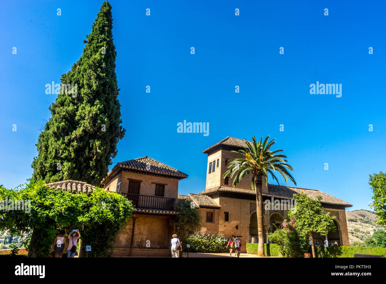 El Partal. A large tree stands next to the Tower of the Ladies, inside the Alhambra of Granada, Andalusia, Spain, Europe on a bright sunny day with cl Stock Photo