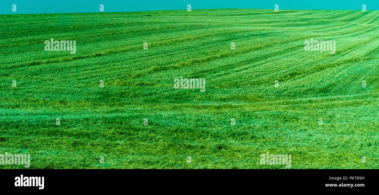 Spain, Ronda, Europe, SCENIC VIEW OF AGRICULTURAL FIELD AGAINST SKY ...