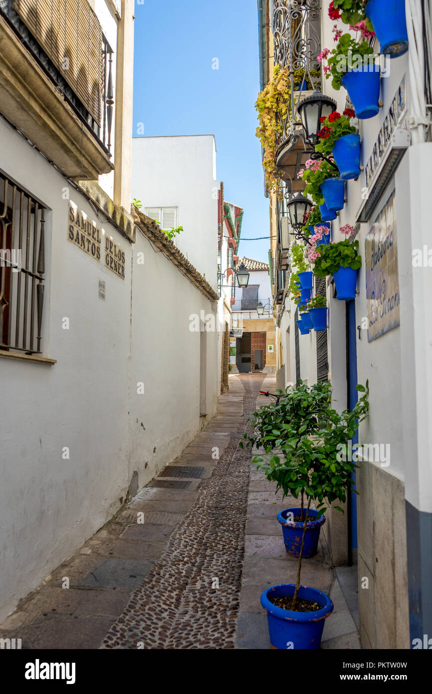 The empty streets of Cordoba on June 20, 2017.Flower Street or Calleja de las Flores in Cordoba, Spain Stock Photo