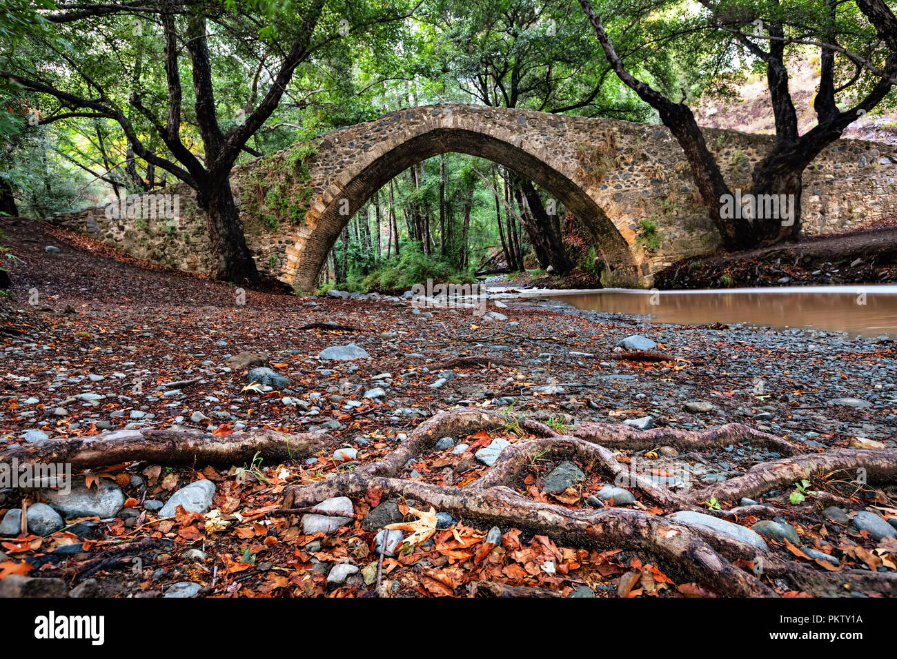 Tzelefos Bridge - one of hidden Venetian bridges in Paphos Forest, Cyprus Stock Photo