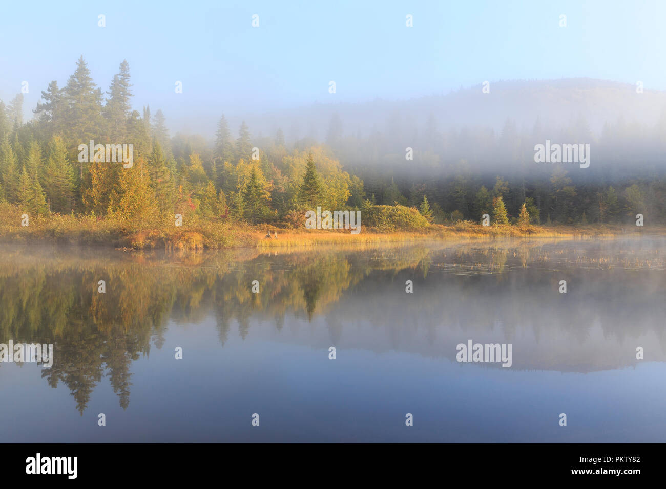Lajoie hires stock photography and images Alamy