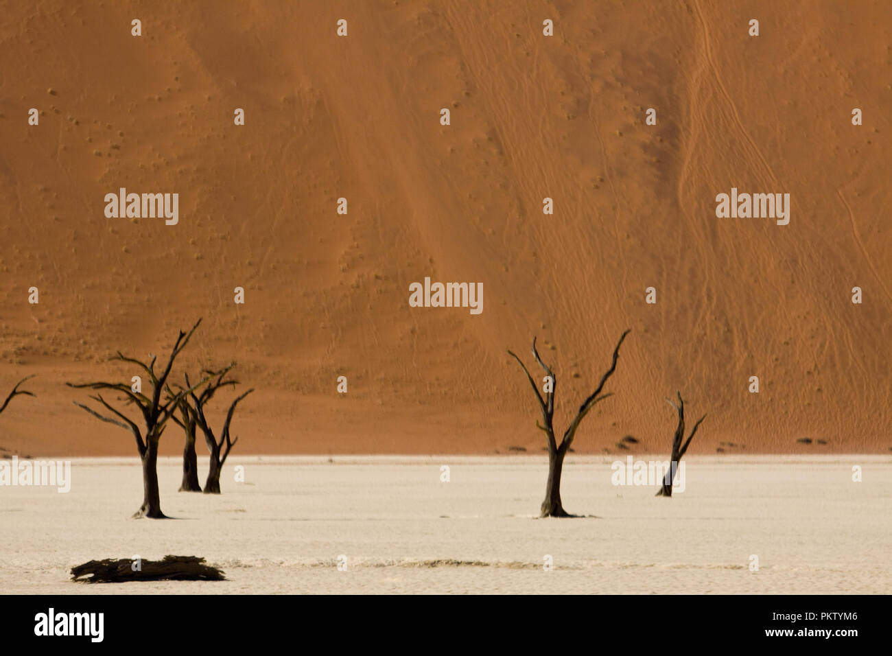 sossusvlei dunes in namibia Stock Photo - Alamy