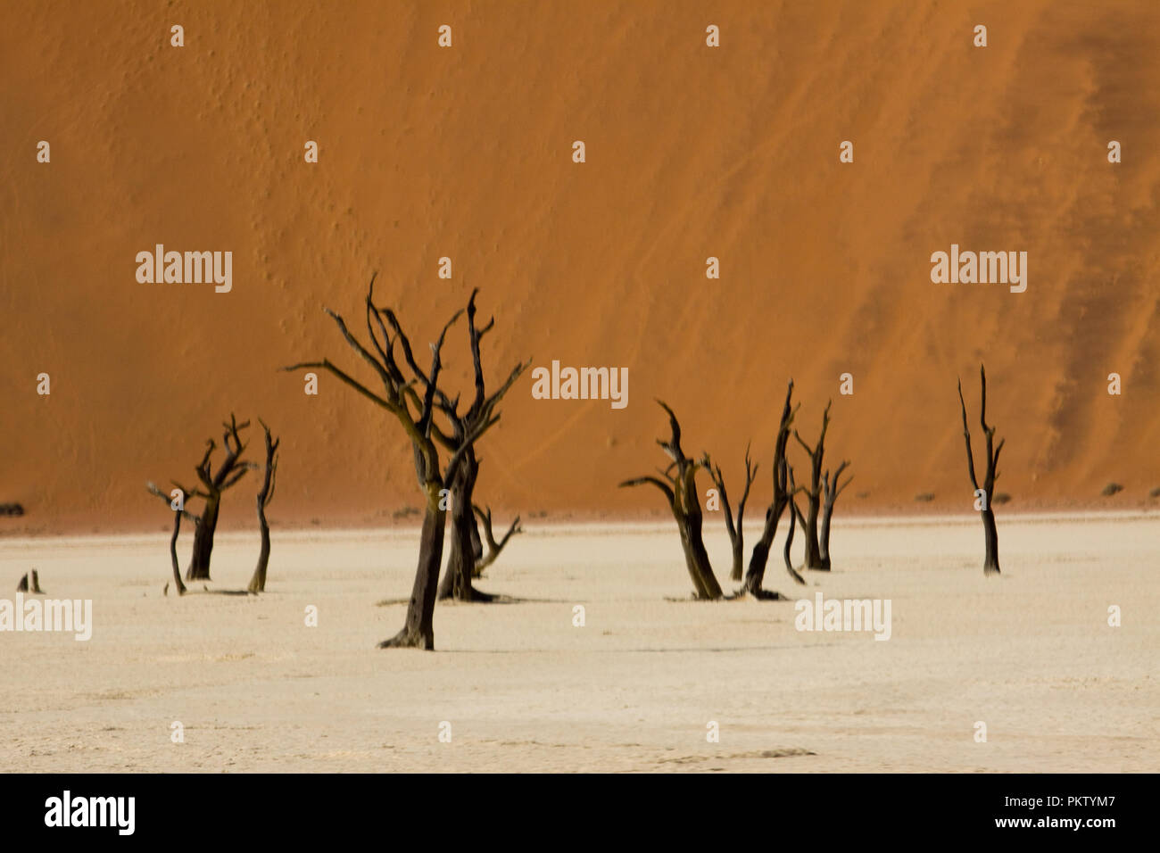 sossusvlei dunes in namibia Stock Photo - Alamy