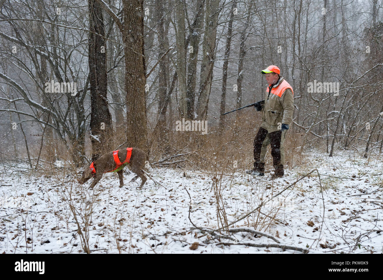 Upland game bird hunting in G. Thompson Wildlife Management Area in