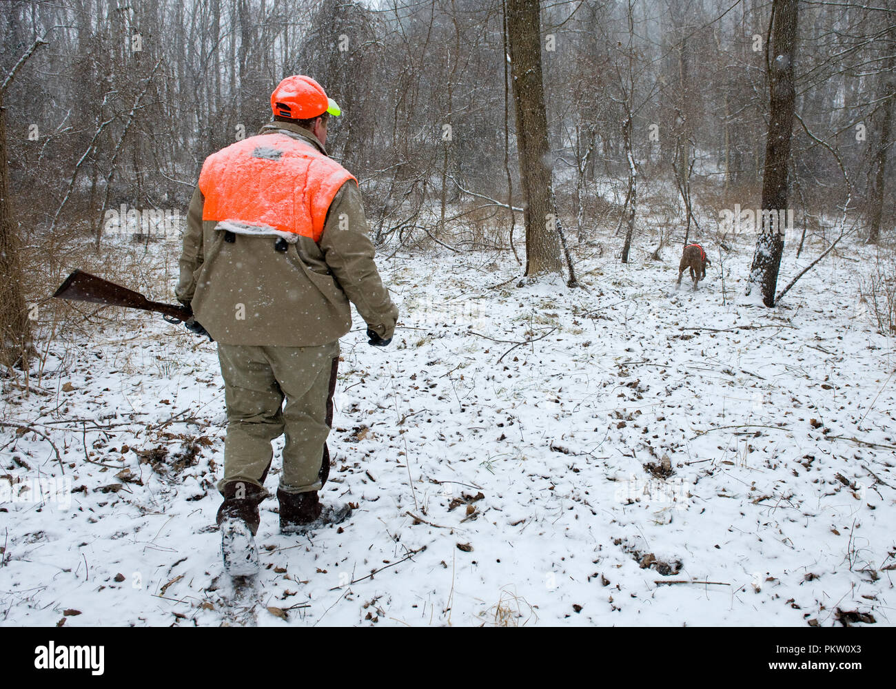 Upland game bird hunting in G. Thompson Wildlife Management Area in