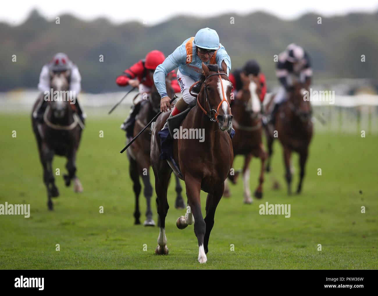 Leroy Leroy ridden by Andrea Atzeni wins the Napoleons Casinos and Restaurants Nursery Stakes during day four of the 2018 William Hill St Leger Festival at Doncaster Racecourse, Doncaster. Stock Photo