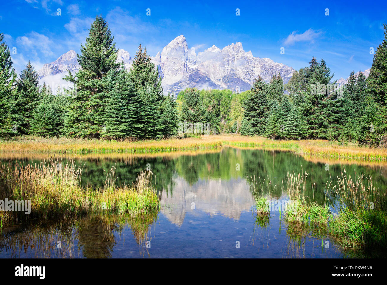 The quiet backwaters of the Snake River around Schwalbachers Landing in front of the Grand Tetons, Wyoming. Stock Photo