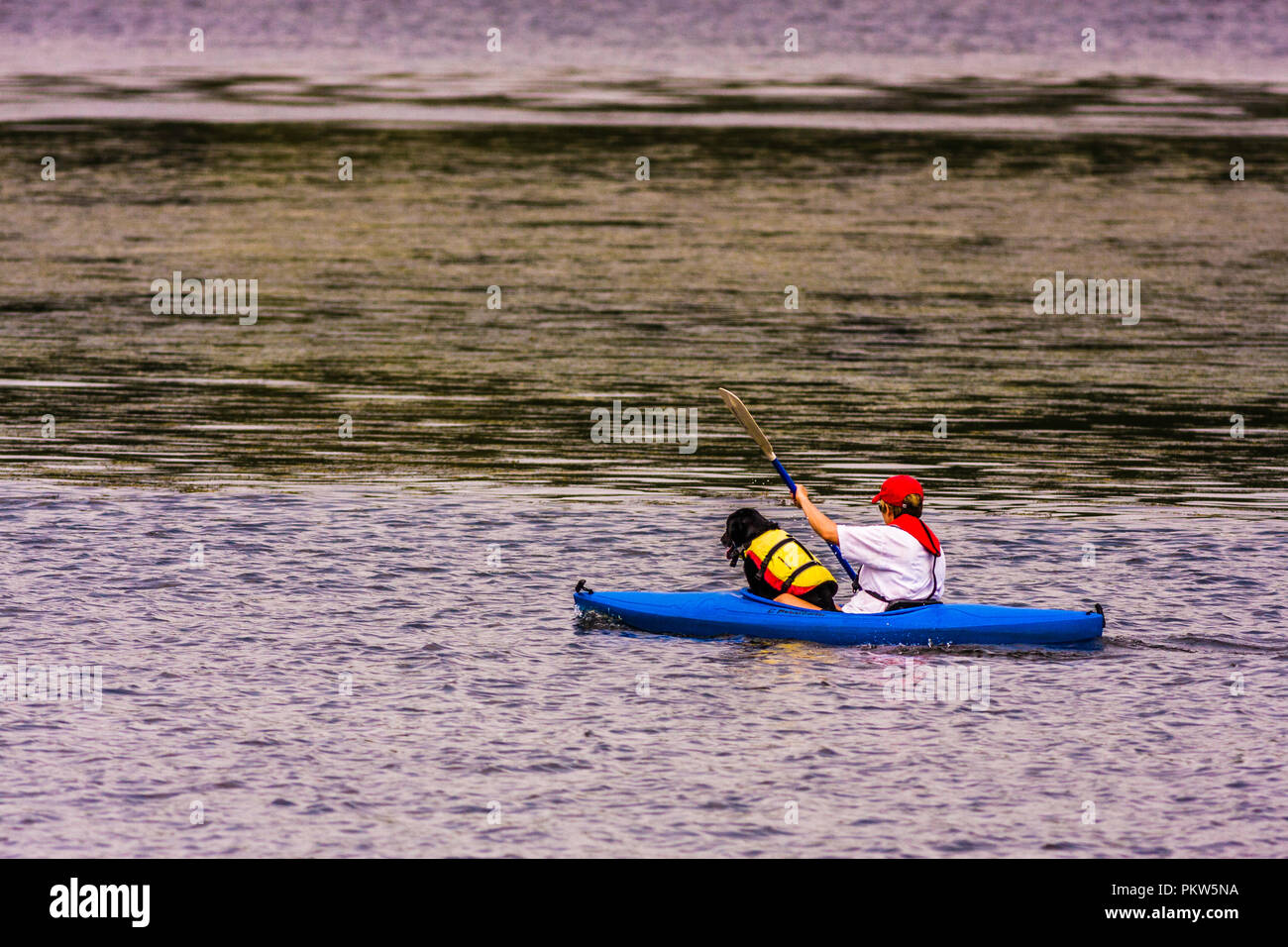 Kayak Deep River, Connecticut, USA Stock Photo Alamy