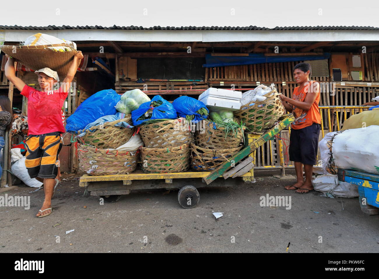 single wheel bicycle trailer