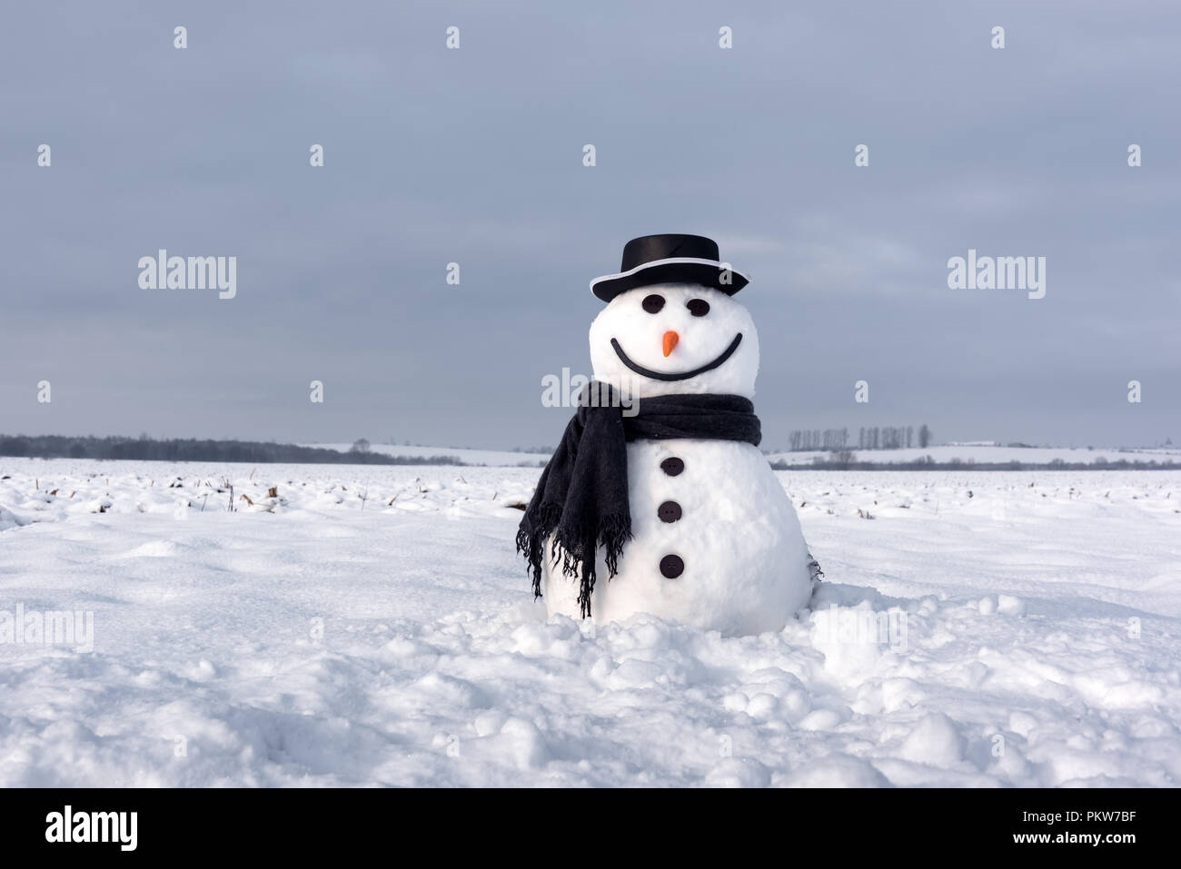 Funny snowman in black hat Stock Photo