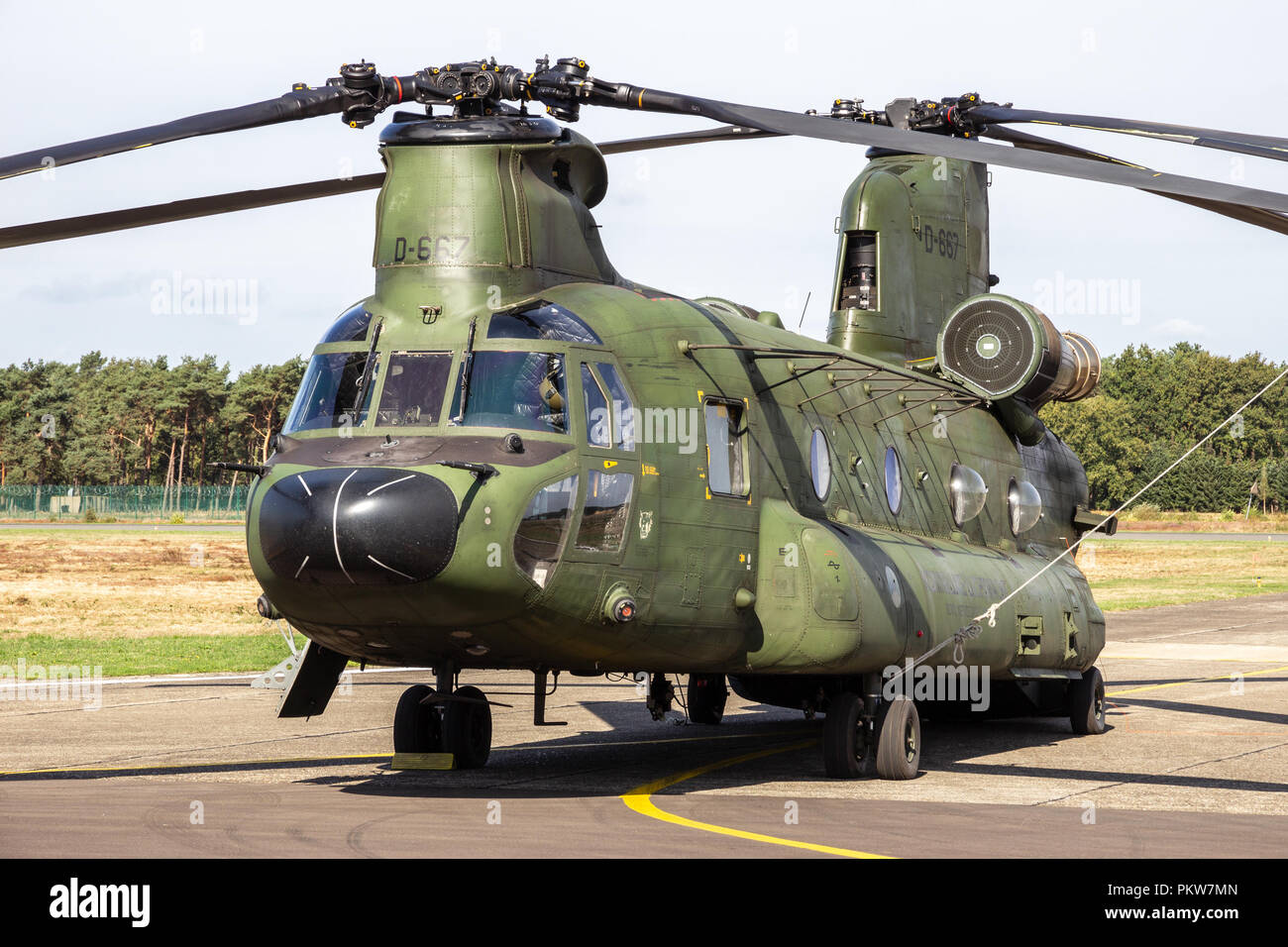 KLEINE BROGEL, BELGIUM - SEP 8, 2018: Royal Netherlands Air Force Boeing CH-47D Chinook transport helicopter on the tarmac of Kleine-Brogel Airbase. Stock Photo