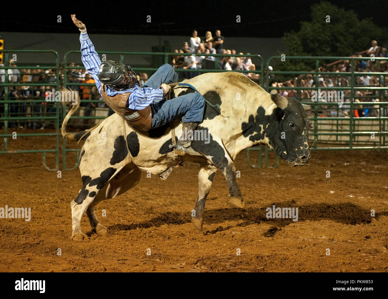 The main event on Friday the 13th was bull riding at the 56th Annual ...