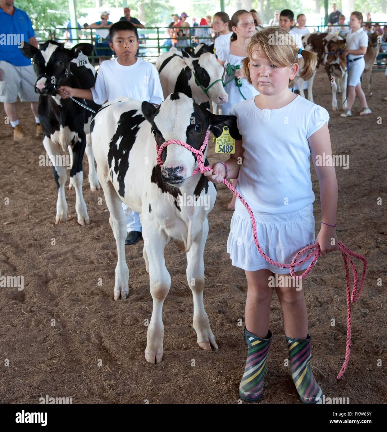 The Dairy Shows at the 56th Annual Clarke County Fair. August 12, 2010