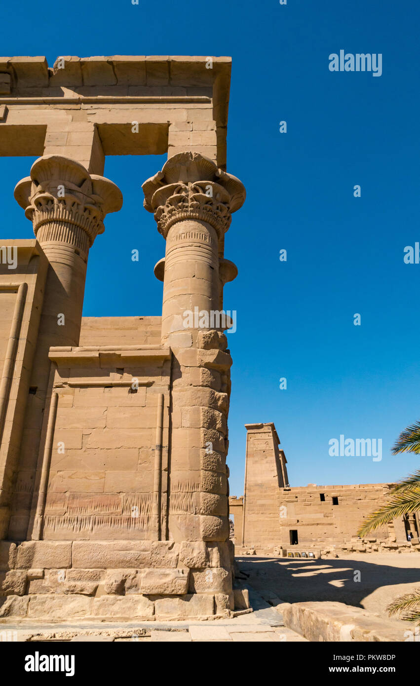 Decorative Palmiform floral patterns at top of columns, Temple of Philae, River Nile, Lake Nasser, Aswan, Egypt, Africa Stock Photo