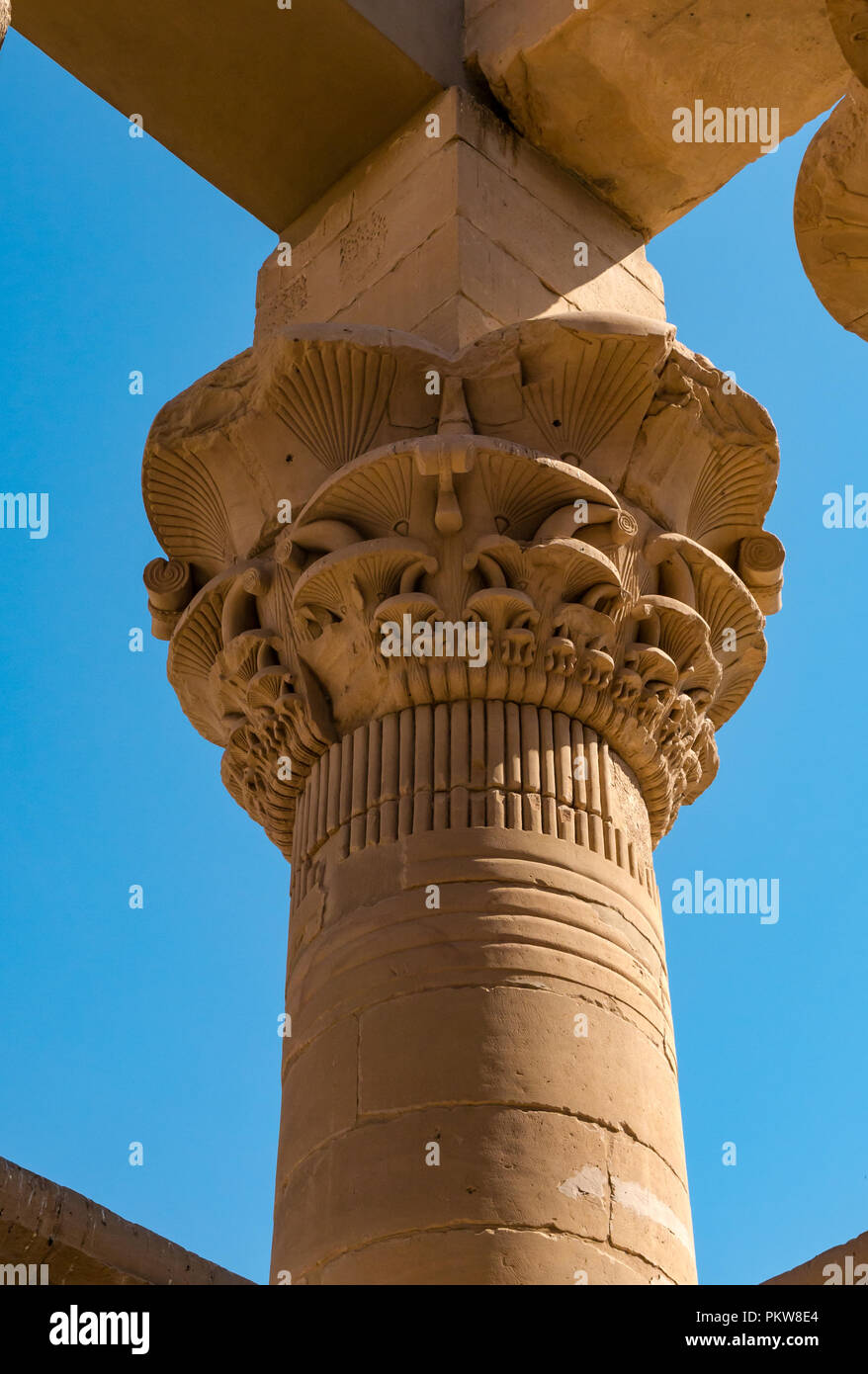 Decorative Palmiform floral pattern at top of temple column against blue sky, Temple of Philae, River Nile, Aswan, Egypt, Africa Stock Photo