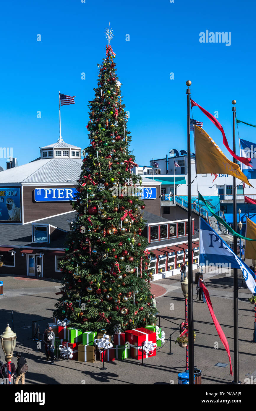 Pier 39 Christmas Tree Lighting 2022 Christmas Tree In Bay Window High Resolution Stock Photography And Images -  Alamy