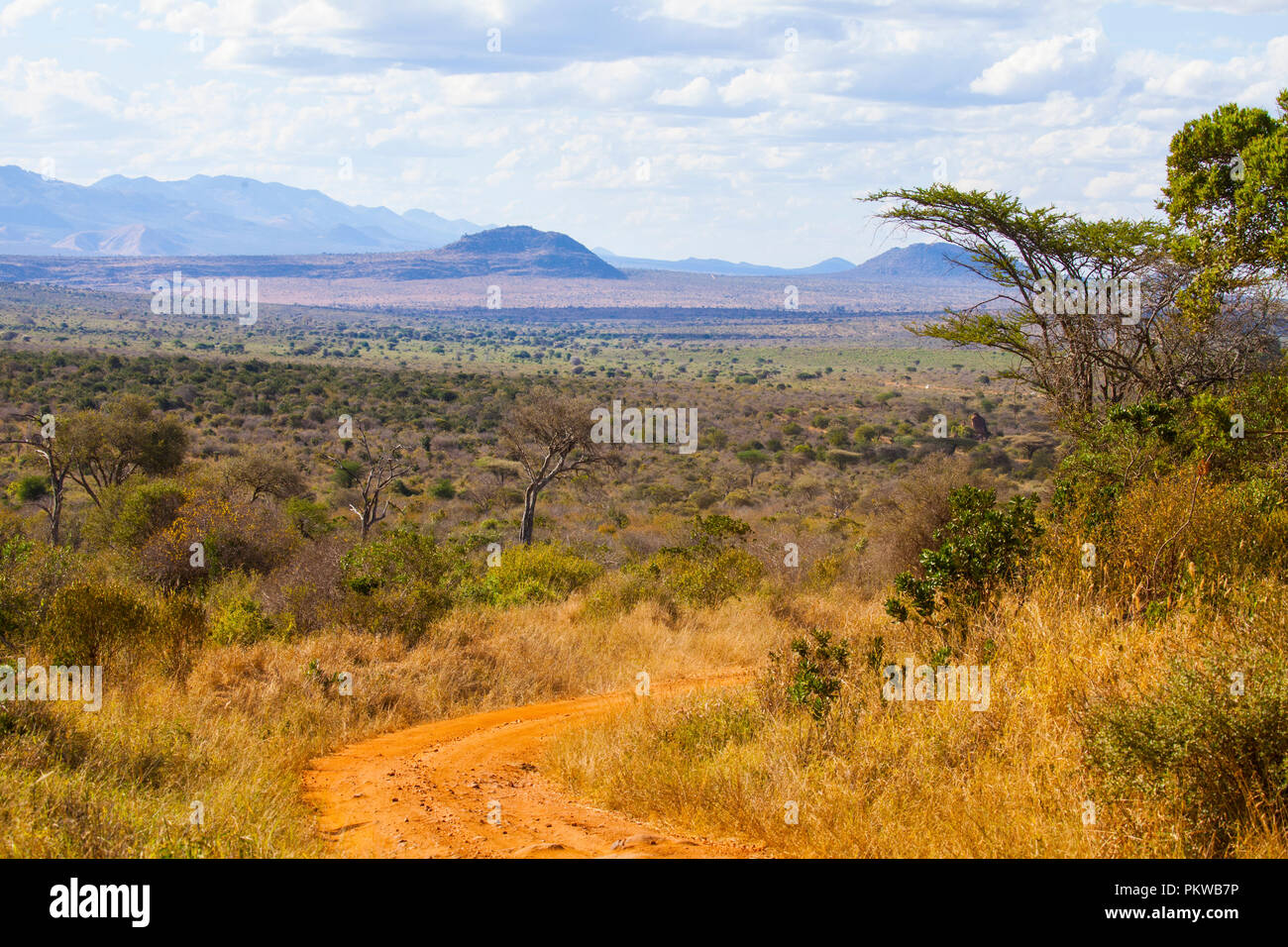 Beautiful landscape in a Tsavo West National Park in Kenya - Stock Photo