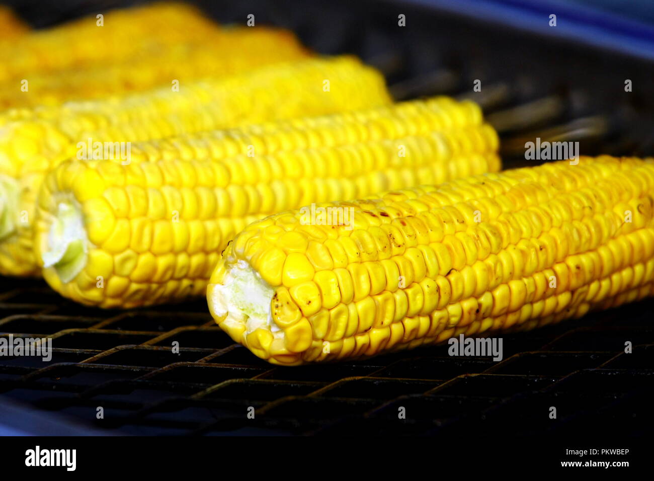 roasted sweet corns on the bbq grill Stock Photo Alamy