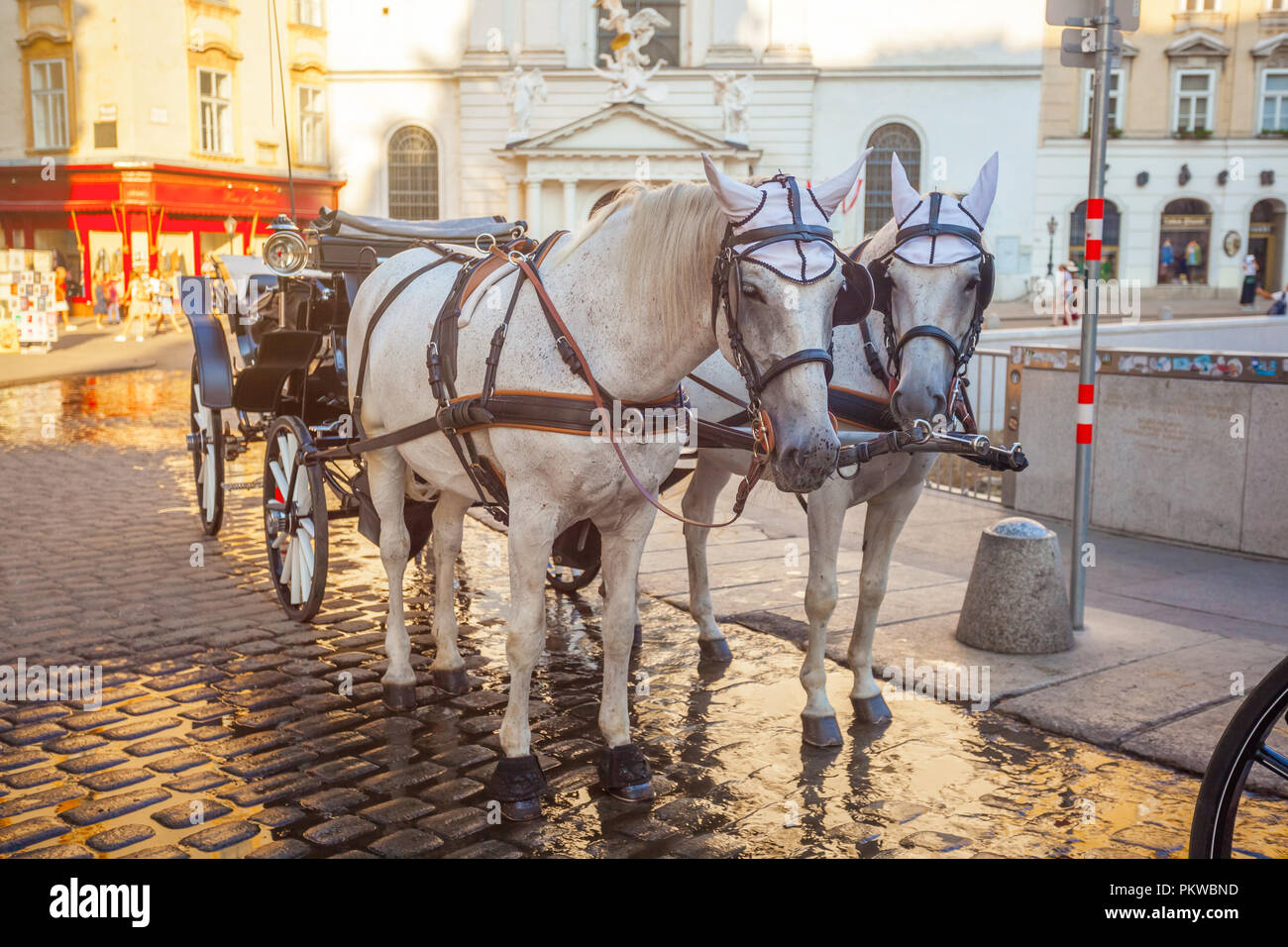 Horse-drawn carriage or Fiaker, popular tourist attraction, on ...